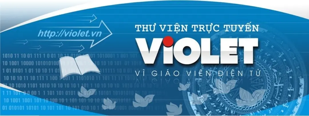 Giới Thiệu Chung Về Violet